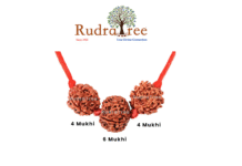 Everything you need to know about the power of saraswati mala for wisdom seekers Saraswati Mala