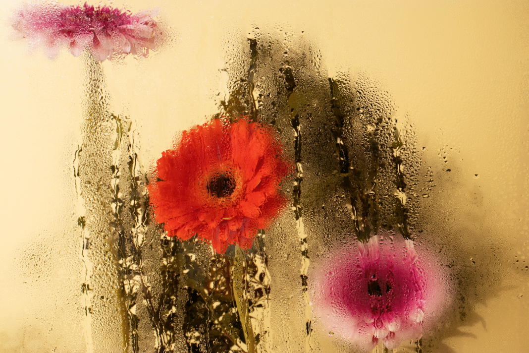 Fine Art Photography