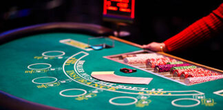Tiger 365 – The New Go-To Spot for Indian Betting Fans tiger 365
