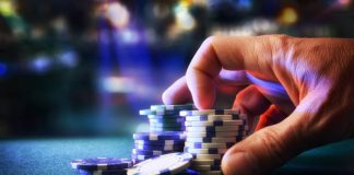 Reddybook Is Built for Both New and Experienced Bettors reddybook
