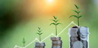 Overnight vs Liquid Funds: Which Suits Short-Term Cash? Mutual Fund